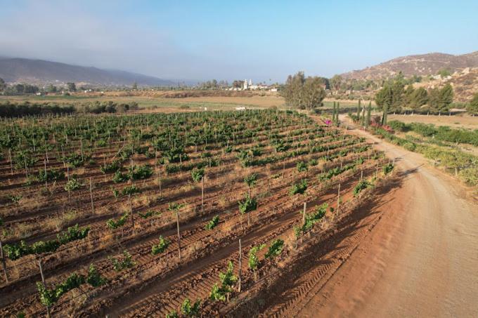 Casa Luna Vinedo Valle de Guadalupe Εξωτερικό φωτογραφία