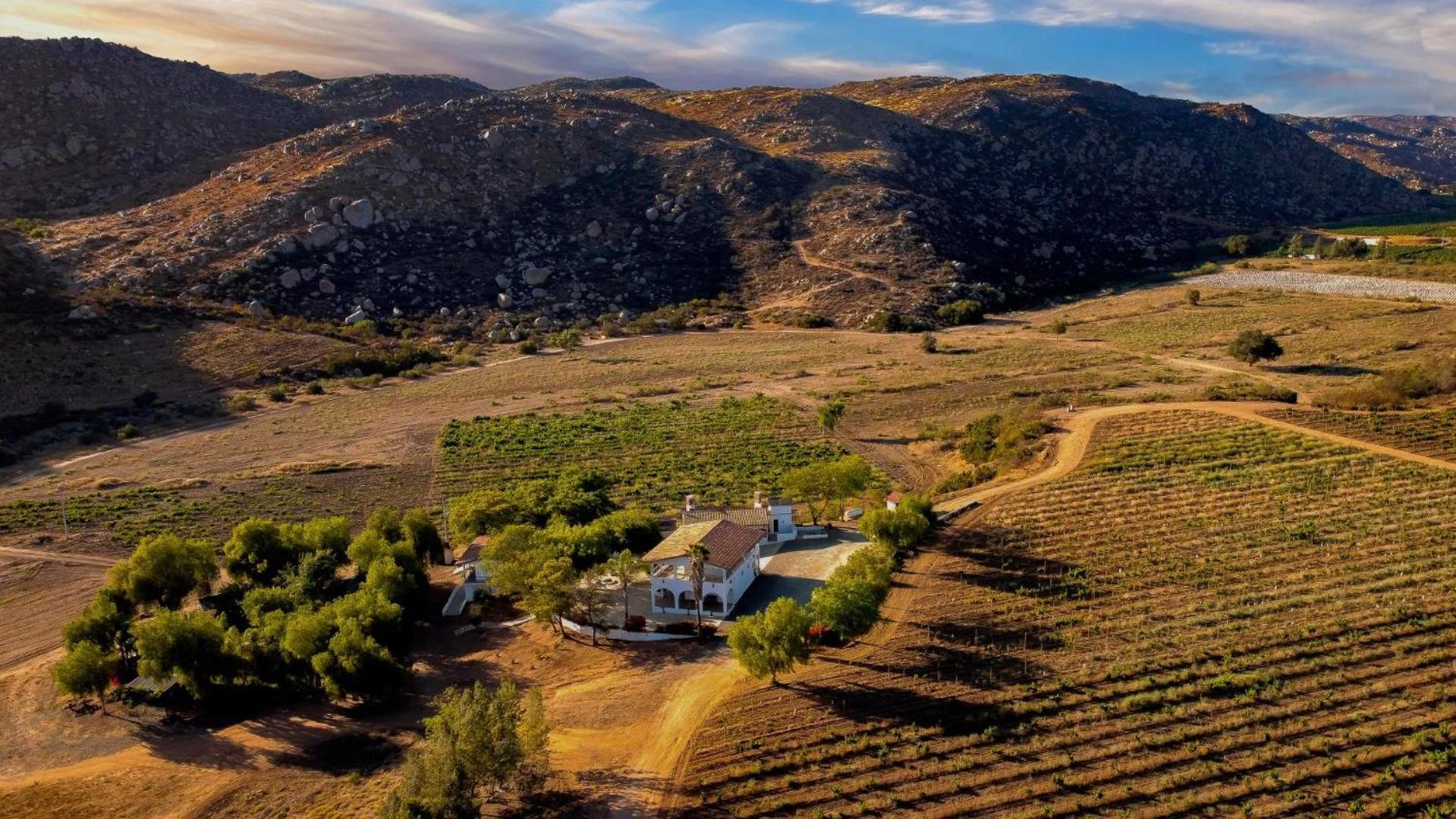 Casa Luna Vinedo Valle de Guadalupe Εξωτερικό φωτογραφία